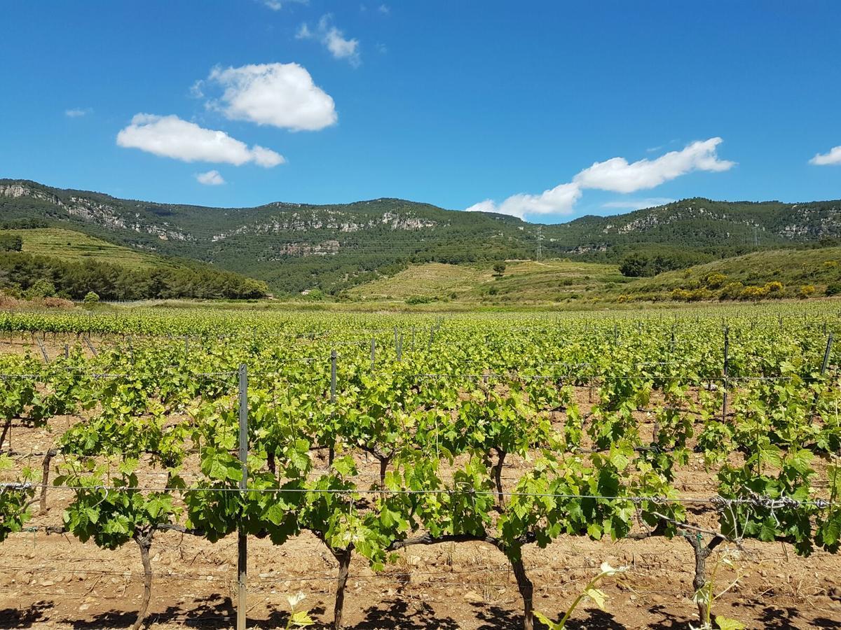 Mas Del Sord 1335 Ξενοδοχείο La Selva del Camp Εξωτερικό φωτογραφία