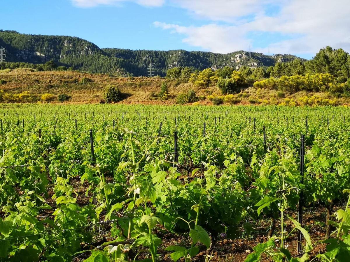 Mas Del Sord 1335 Ξενοδοχείο La Selva del Camp Εξωτερικό φωτογραφία
